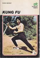 kung fu  