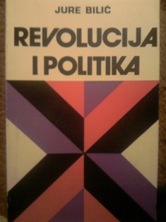 Revolucija i politika