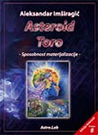 Asteroid Toro