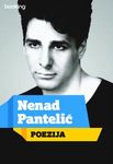 Poezija - Nenad Pantelić