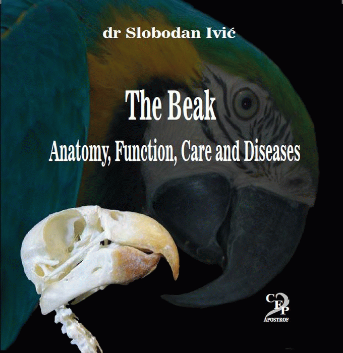 The beak - anatomy, function, care, and diseases