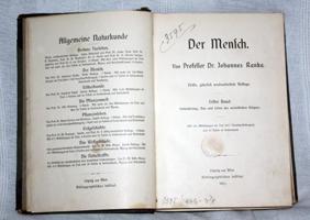der mensch  