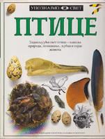 ptice  