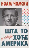 šta to u stvari hoće amerika  