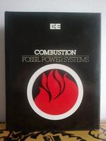 combustion fossil power systems  