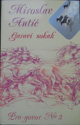 garavi sokak  