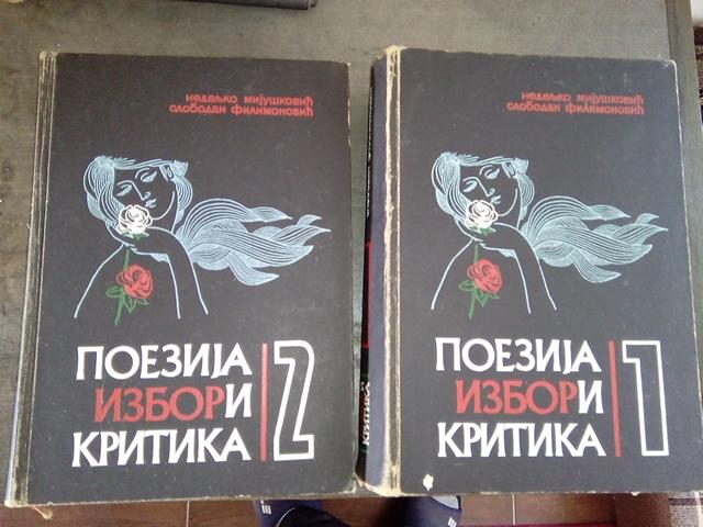 poezija i kritika 1i2 