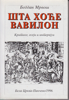 ŠTA HOĆE VAVILON Kritike, eseji i intervjui (1966-1996)