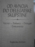 Od Avnoj-a do delegatske skupštine