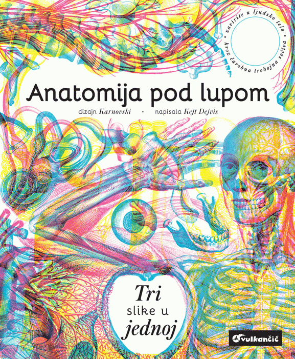 Anatomija pod lupom