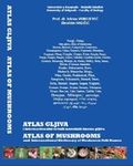 Atlas gljiva i internacionalni rečnik narodnih imena gljiva - Atlas of Mushrooms and International Dictionary of Mushroom Folk Names : Ibrahim Hadžić, Jelena Vukojević