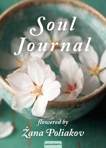 Soul Journal - TP