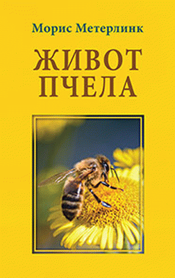 Život pčela